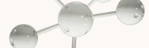 SPERMIDINE: Eco-Friendly Beauty