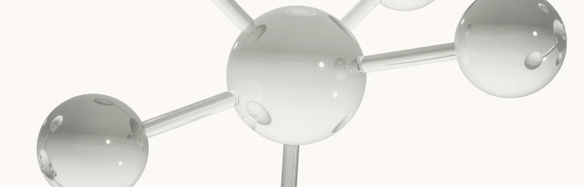 SPERMIDINE: Eco-Friendly Beauty