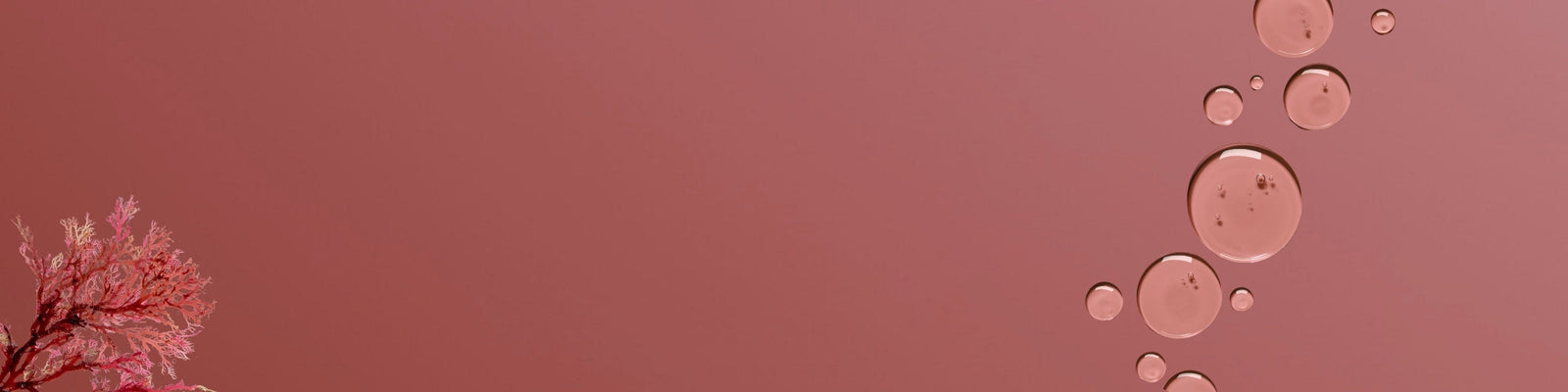 Red Algae