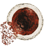 Haematococcus pluvialis